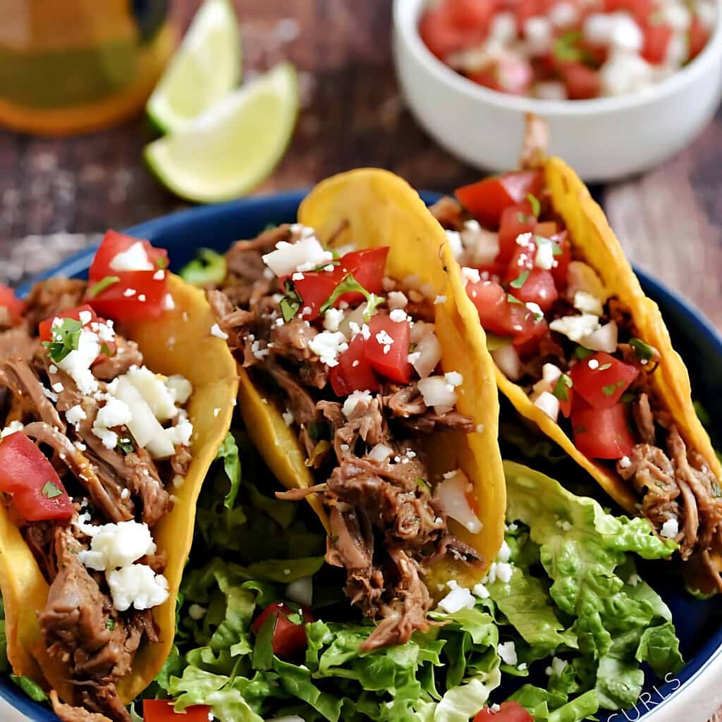 Mexican Shredded Beef Adelitas
