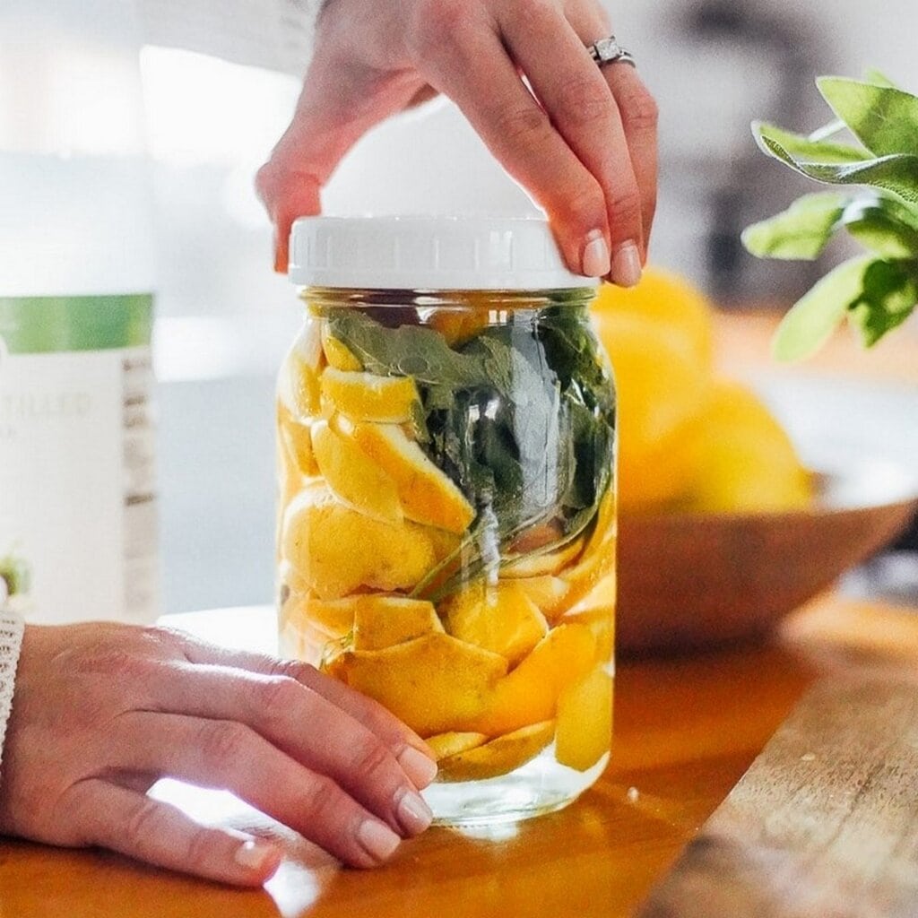 Orange Peel Vinegar Cleaner Orange Peel Vinegar Cleaner