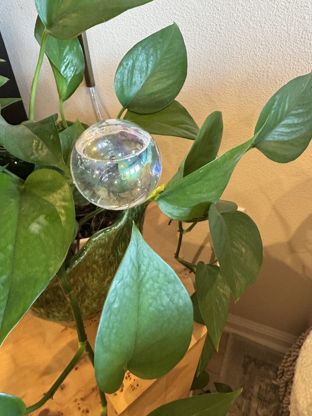 15 Thoughtful Hostess Gifts Under $50 (That Aren’t Just Wine)