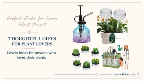 Gift ideas for plant lovers and plant parents featuring useful plant care accessories and charming gardening gifts.